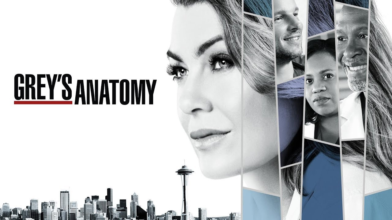 Grey's Anatomy (Season 14) (2017)