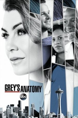 Ca Phẫu Thuật Của Grey (Phần 14), Grey's Anatomy (Season 14) (2017)