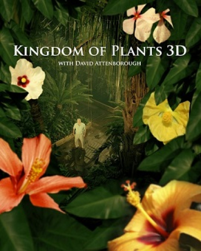 Kingdom Of Plants (2012)