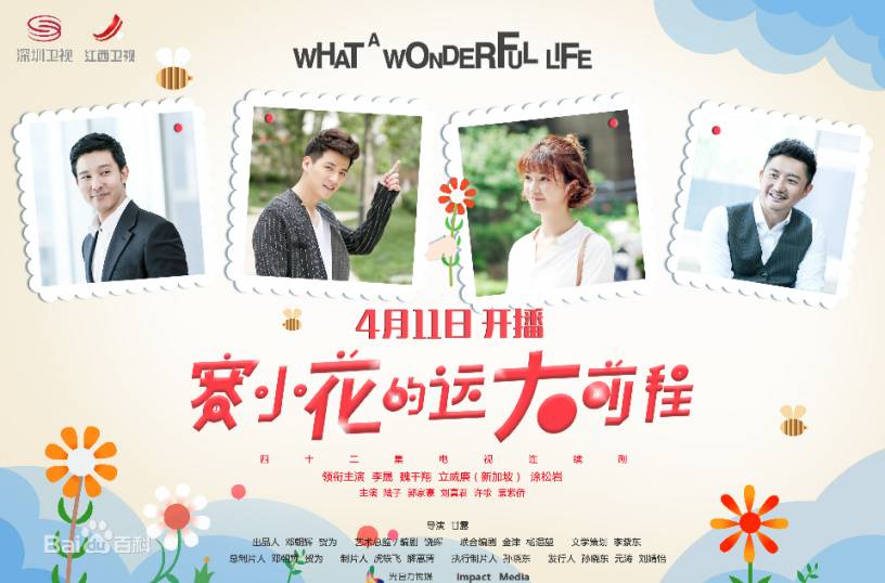 Xem Phim Tiền Đồ Rộng Lớn Của Tái Tiểu Hoa, What A Wonderful Life 2017