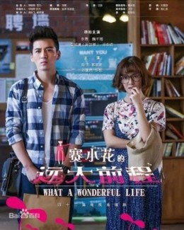 Tiền Đồ Rộng Lớn Của Tái Tiểu Hoa, What A Wonderful Life (2017)