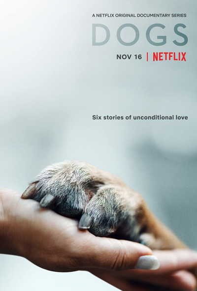 Những Chú Chó 1, Dogs Season 1 (2018)