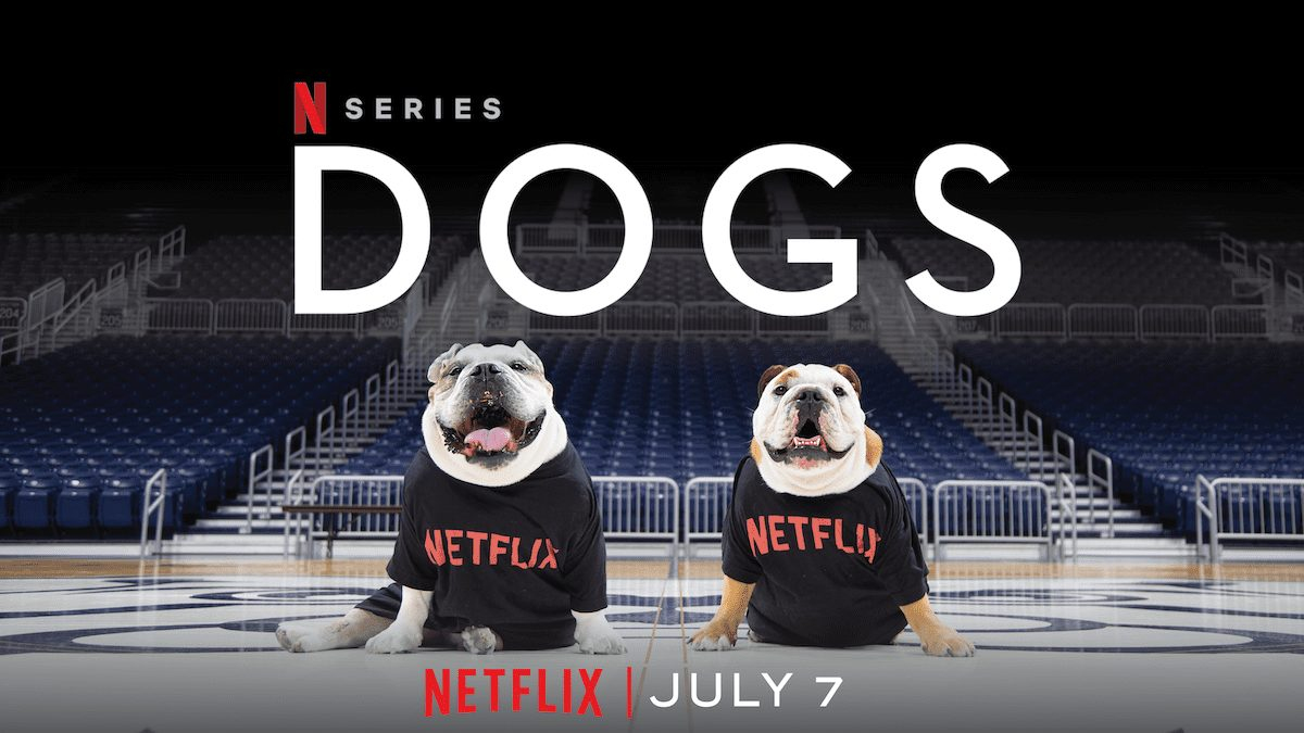 Xem Phim Những Chú Chó 2, Dogs Season 2 2021