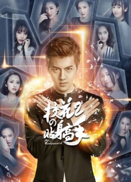 Cao Thủ Cận Vệ Của Hoa Khôi Phần 2, Mr. Bodyguard 2 (2017)