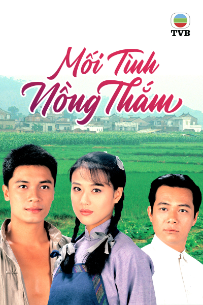 Mối Tình Nồng Thắm, Plain Love / Plain Love (1995)