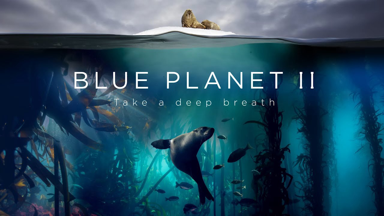 The Blue Planet 2 / The Blue Planet 2 (2015)
