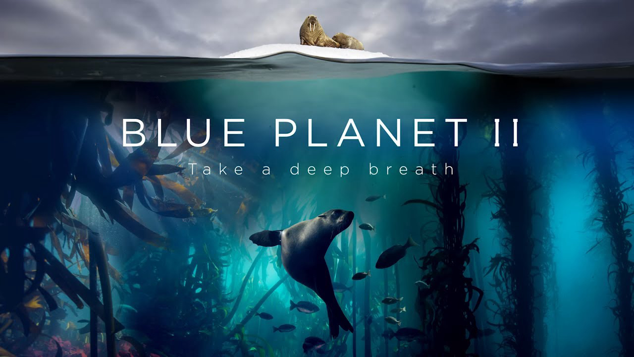 Xem Phim Đại Dương Sâu Thẳm 2, The Blue Planet 2 2015 Xem Phim Đại Dương Sâu Thẳm 2, The Blue Planet 2 2015
