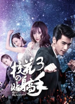 Cao Thủ Cận Vệ Của Hoa Khôi, Mr. Bodyguard / Mr. Bodyguard (2015)