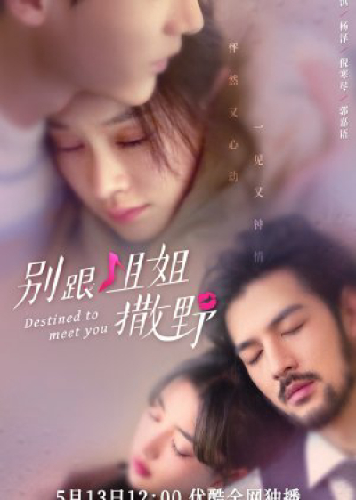 Đừng Nhờn Với Chị, Destined to Meet You / Destined to Meet You (2022)