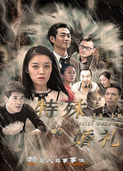 Đám cưới đặc biệt, the Special Wedding / the Special Wedding (2018)