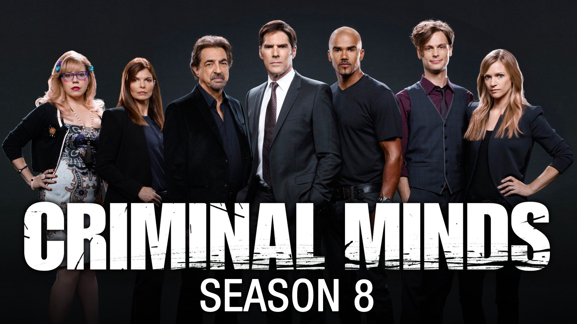 Criminal Minds (Season 8) / Criminal Minds (Season 8) (2012)