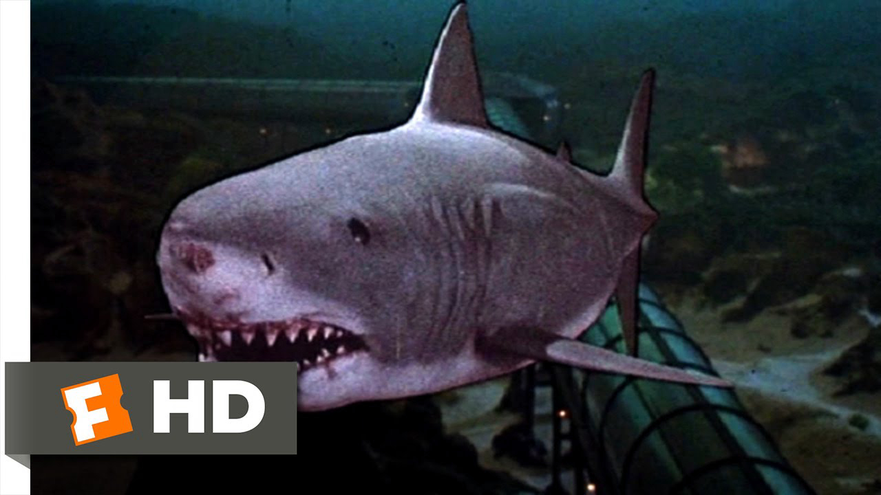 Xem Phim Hàm Cá Mập 3, Jaws 3-D 1983 Xem Phim Hàm Cá Mập 3, Jaws 3-D 1983
