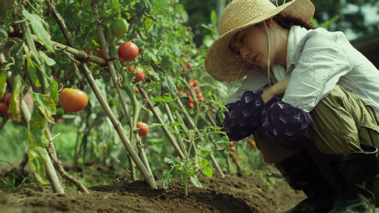 Xem Phim Little Forest: Summer/Autumn, Little Forest: Summer/Autumn 2014 Xem Phim Little Forest: Summer/Autumn, Little Forest: Summer/Autumn 2014