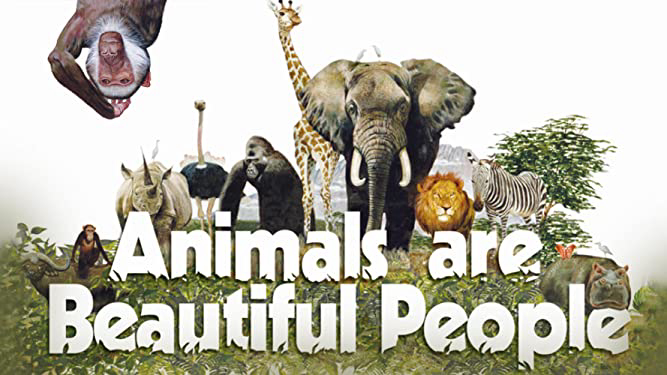 Xem Phim Thế Giới Loài Vật Sống Động, Animals Are Beautiful People 1974