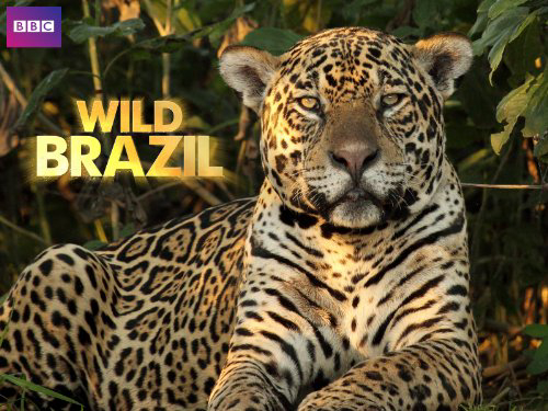 Wild Brazil / Wild Brazil (2014)