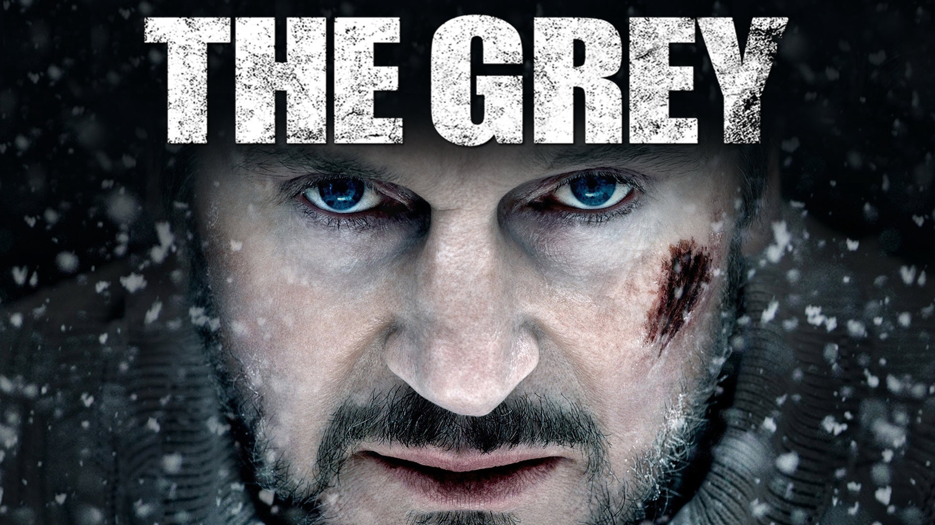 The Grey / The Grey (2011)