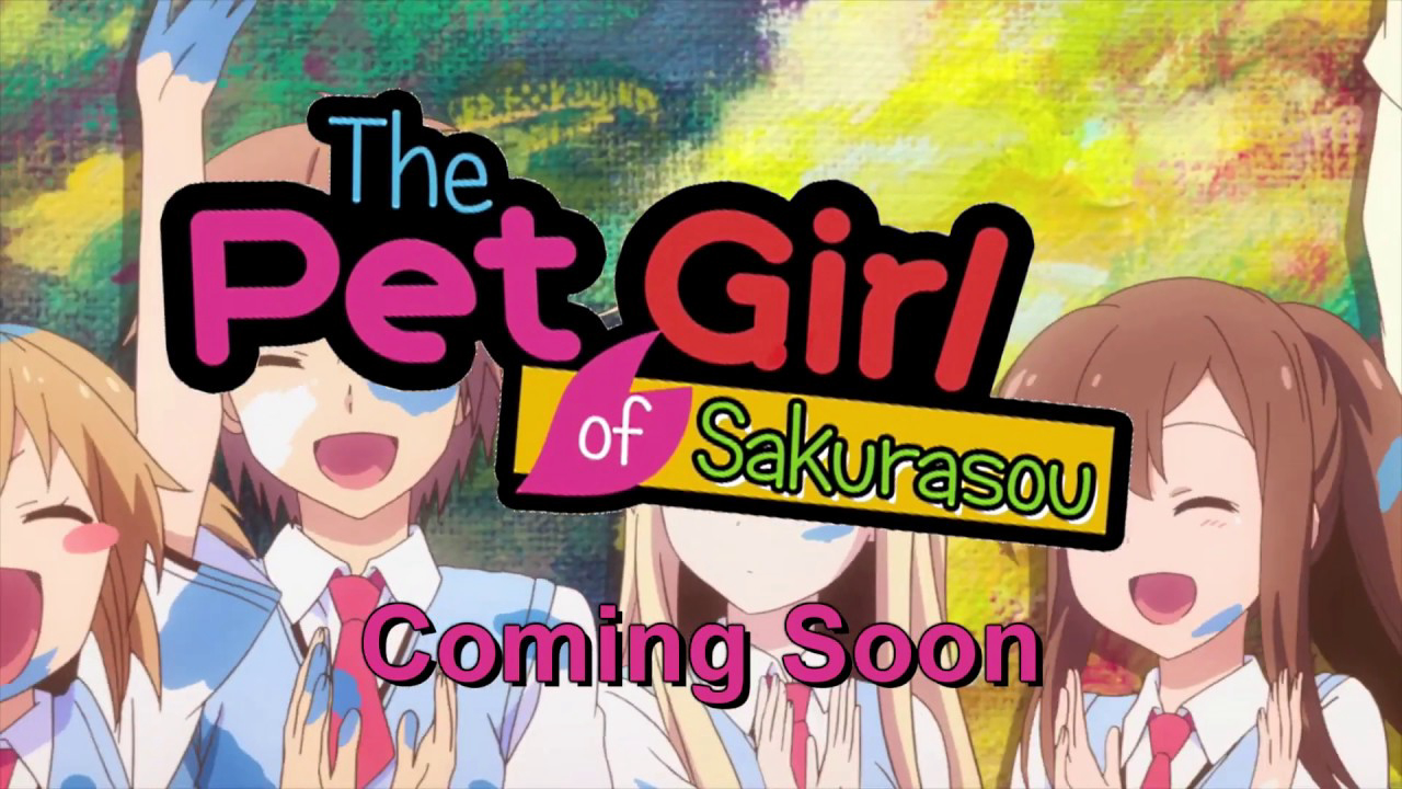 The Pet Girl of Sakurasou [Blu-ray] / The Pet Girl of Sakurasou [Blu-ray] (2015)