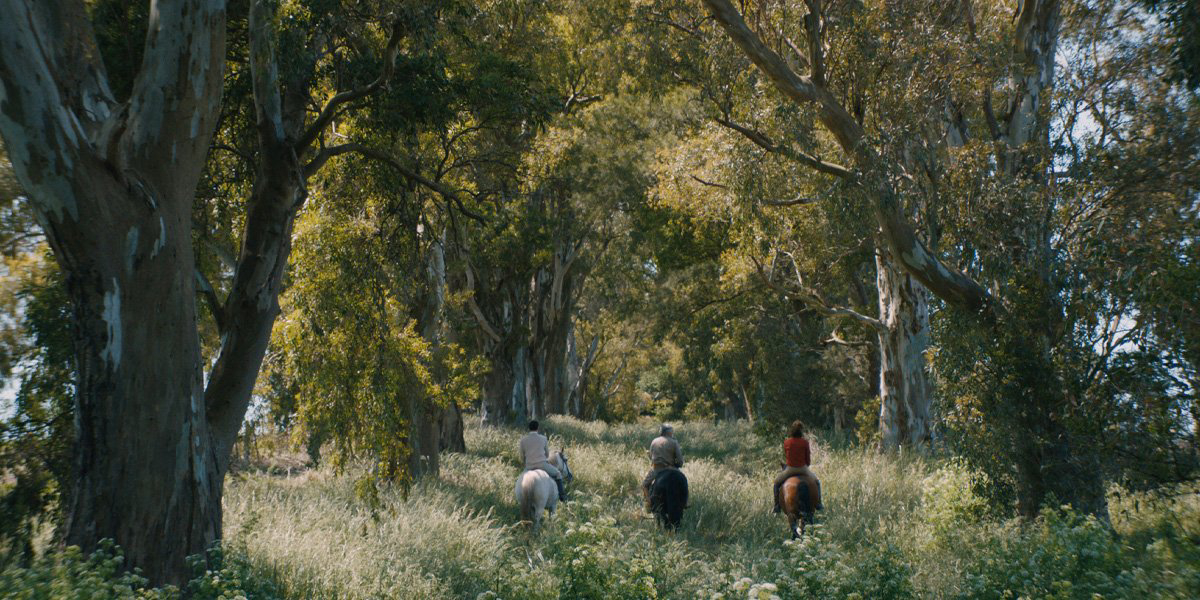 Xem Phim Azor, Azor 2021 Xem Phim Azor, Azor 2021