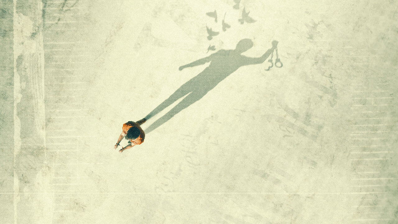 Xem Phim Hồ sơ vô tội, The Innocence Files 2020 Xem Phim Hồ sơ vô tội, The Innocence Files 2020