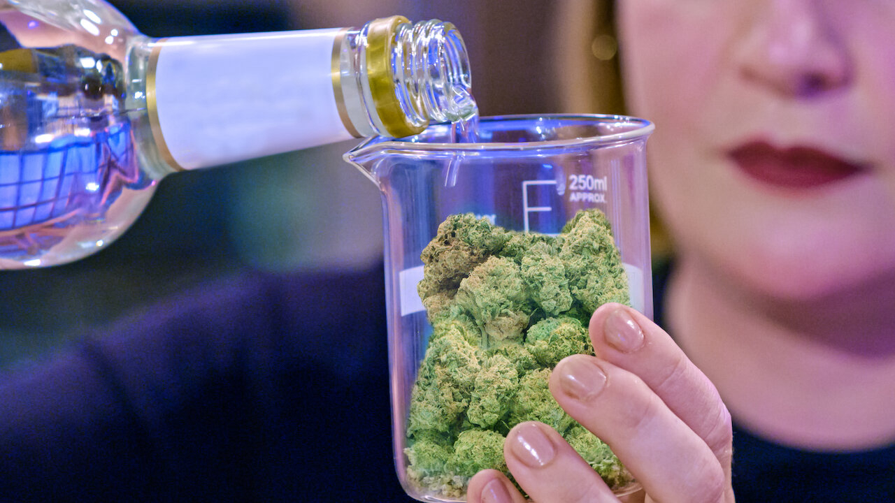 Xem Phim Cuộc thi nấu cần, Cooked with Cannabis 2020 Xem Phim Cuộc thi nấu cần, Cooked with Cannabis 2020
