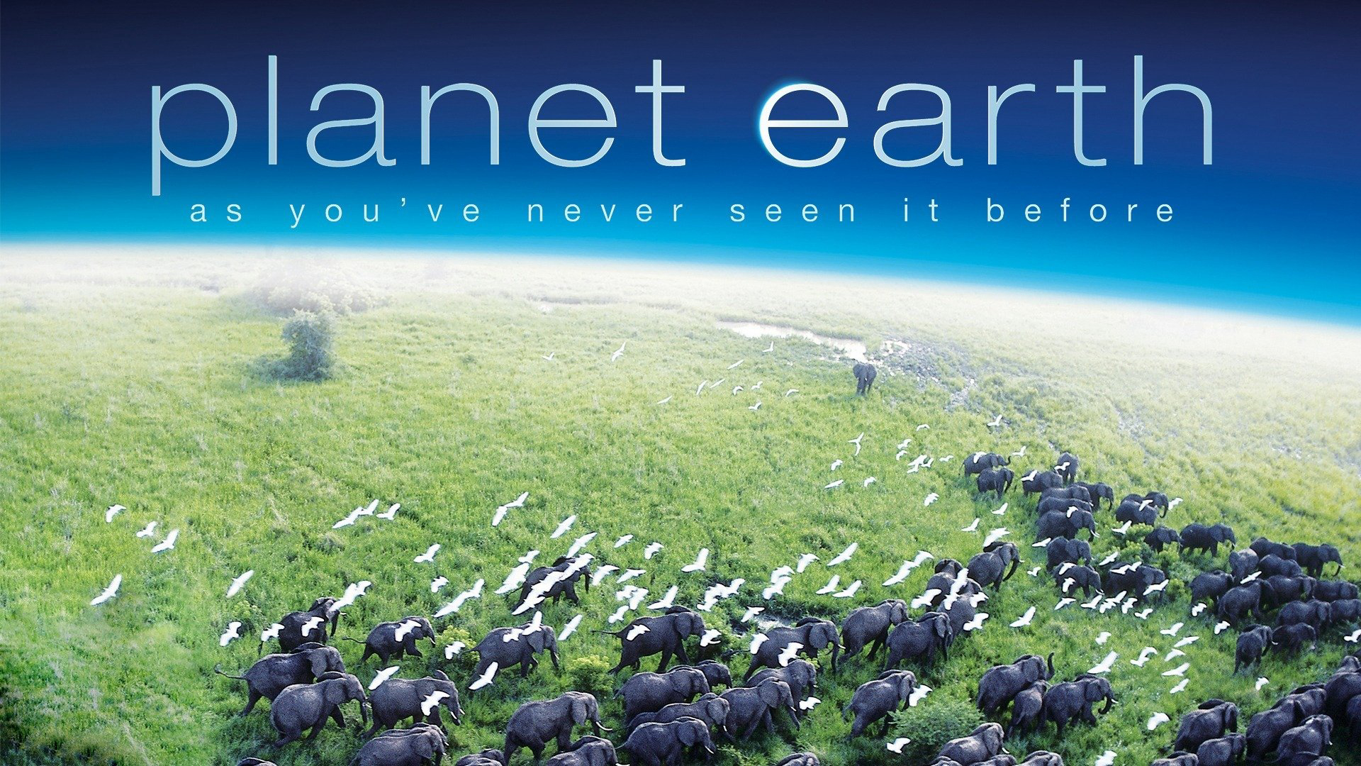 Xem Phim Hành Trình Trái Đất, Planet Earth 2007 Xem Phim Hành Trình Trái Đất, Planet Earth 2007