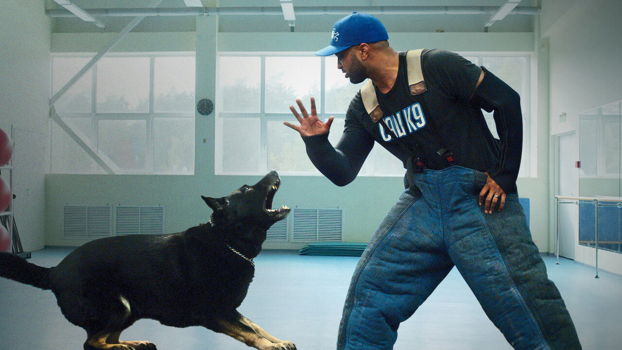 Xem Phim Cali K9: Trường huấn khuyển, Canine Intervention 2021 Xem Phim Cali K9: Trường huấn khuyển, Canine Intervention 2021