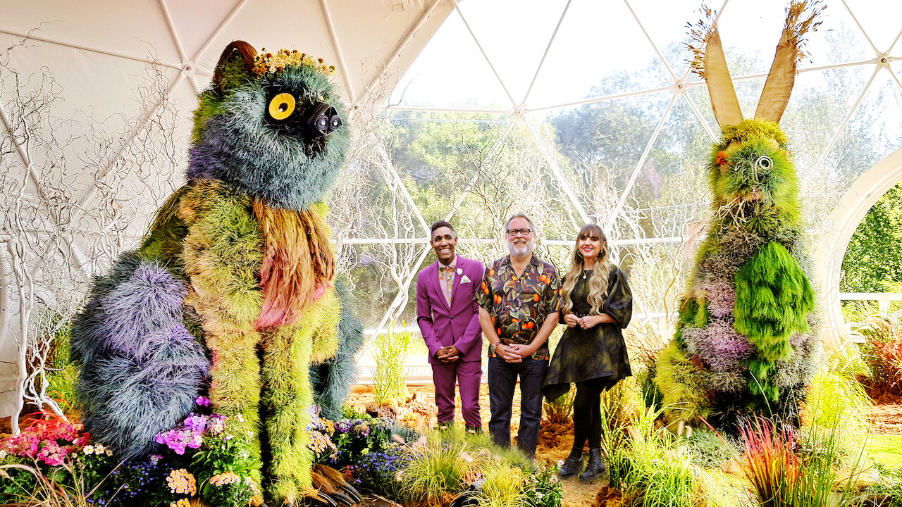 Xem Phim Đại chiến hoa tươi, The Big Flower Fight 2020 Xem Phim Đại chiến hoa tươi, The Big Flower Fight 2020