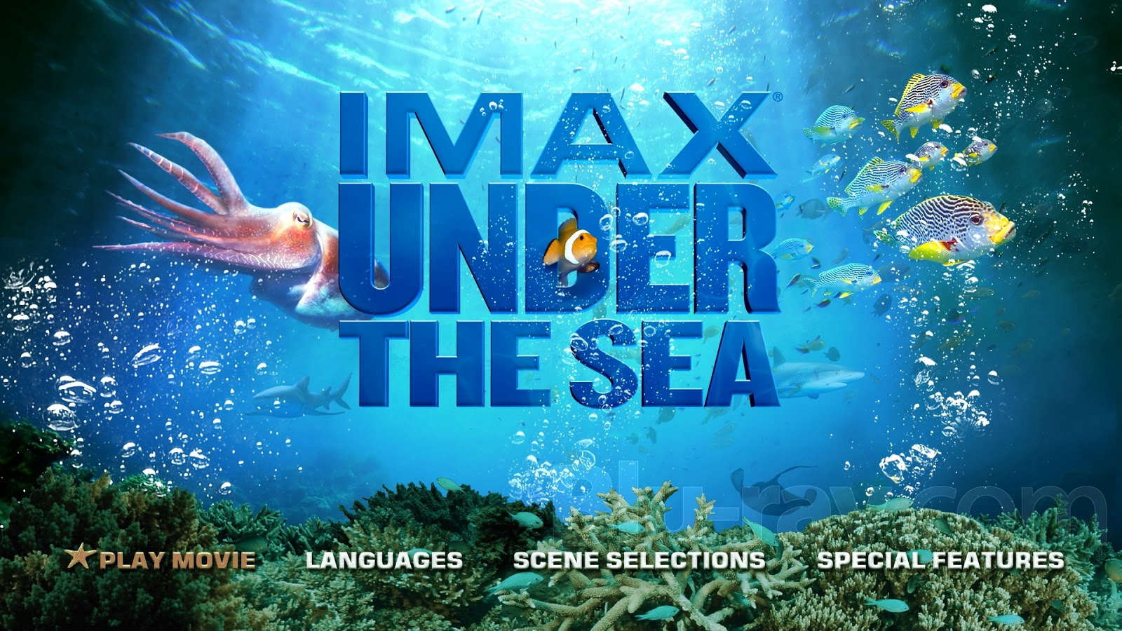 Xem Phim Dưới Lòng Đại Dương, Under the Sea 3D 2009