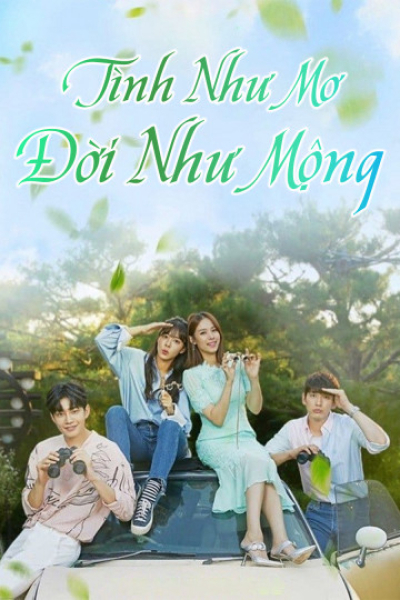 Tình Như Mơ Đời Như Mộng, Beautifull Love, Wonderful Life / Beautifull Love, Wonderful Life (2019)