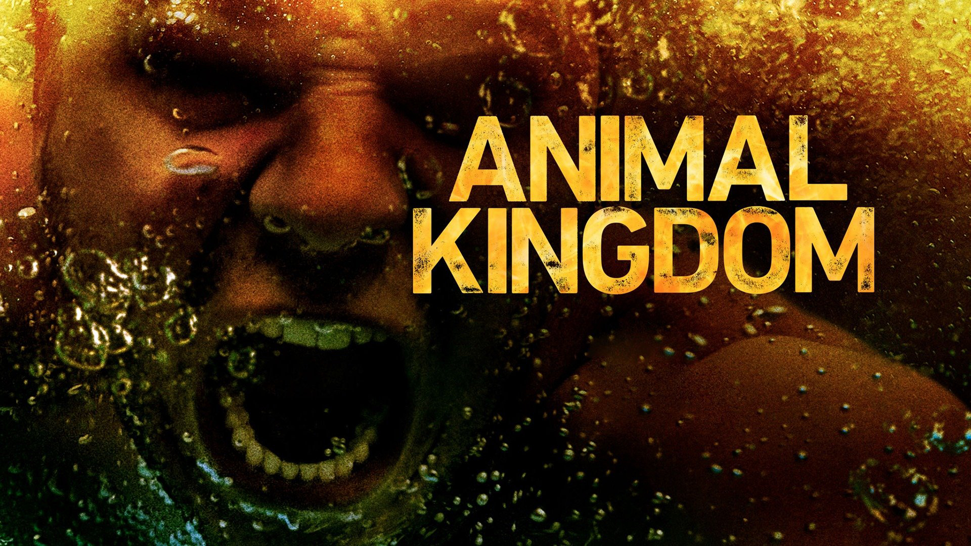 Animal Kingdom (Season 3) / Animal Kingdom (Season 3) (2018)