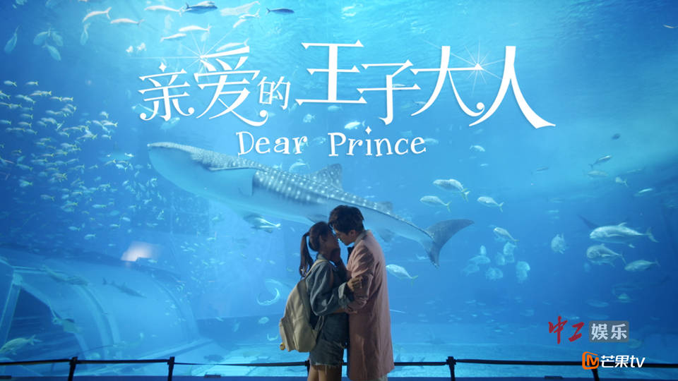 Xem Phim Chàng Hoàng Tử Tôi Yêu, Dear Prince 2017