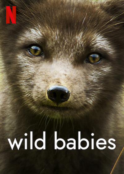 Động vật chào đời, Wild Babies / Wild Babies (2022)