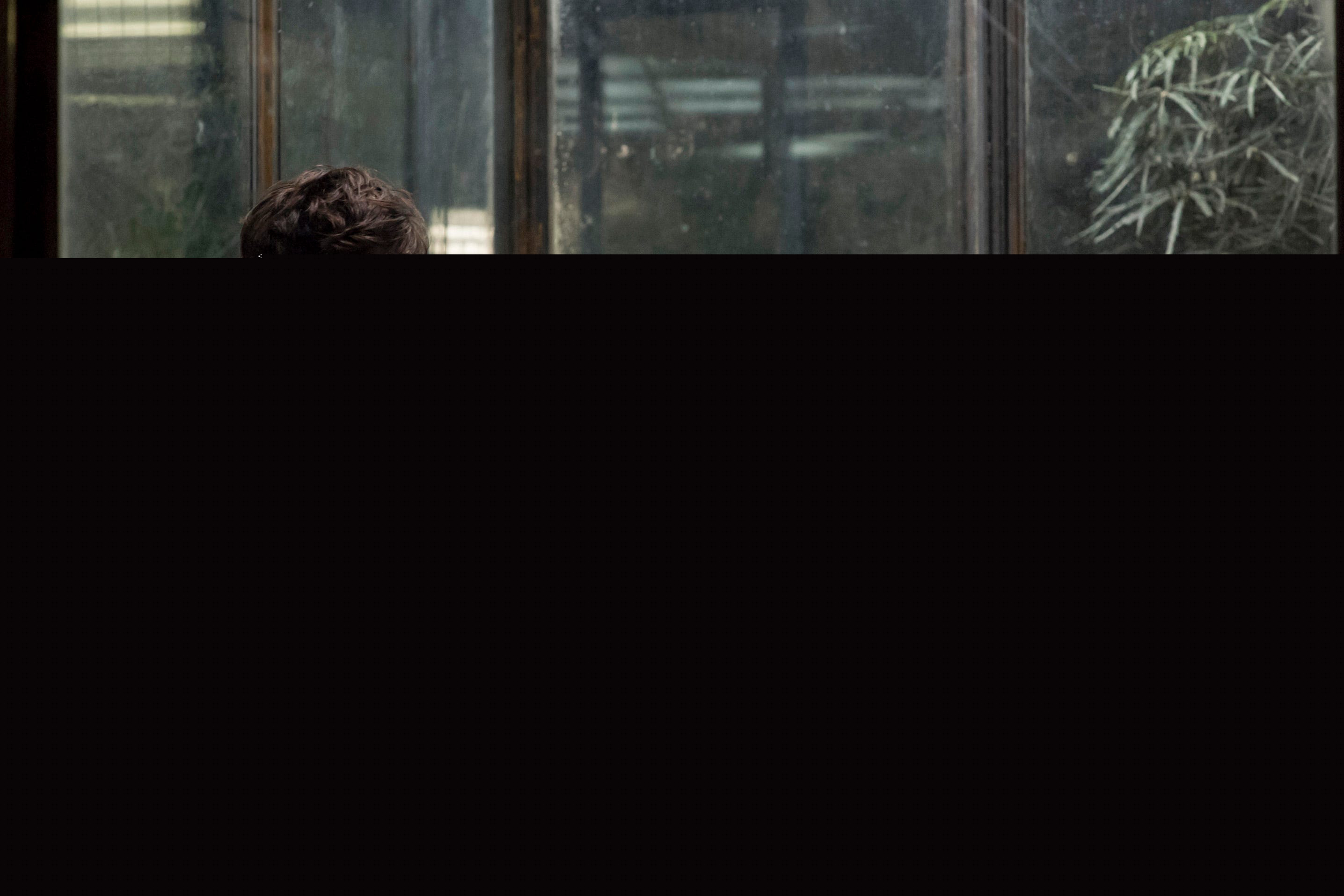 Xem Phim Thiên thần đầu tiên (Phần 1), The OA (Season 1) 2016 Xem Phim Thiên thần đầu tiên (Phần 1), The OA (Season 1) 2016