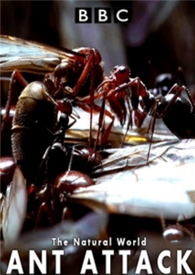 Kiến ăn thịt, The Natural World - Ant Attack / The Natural World - Ant Attack (2006)