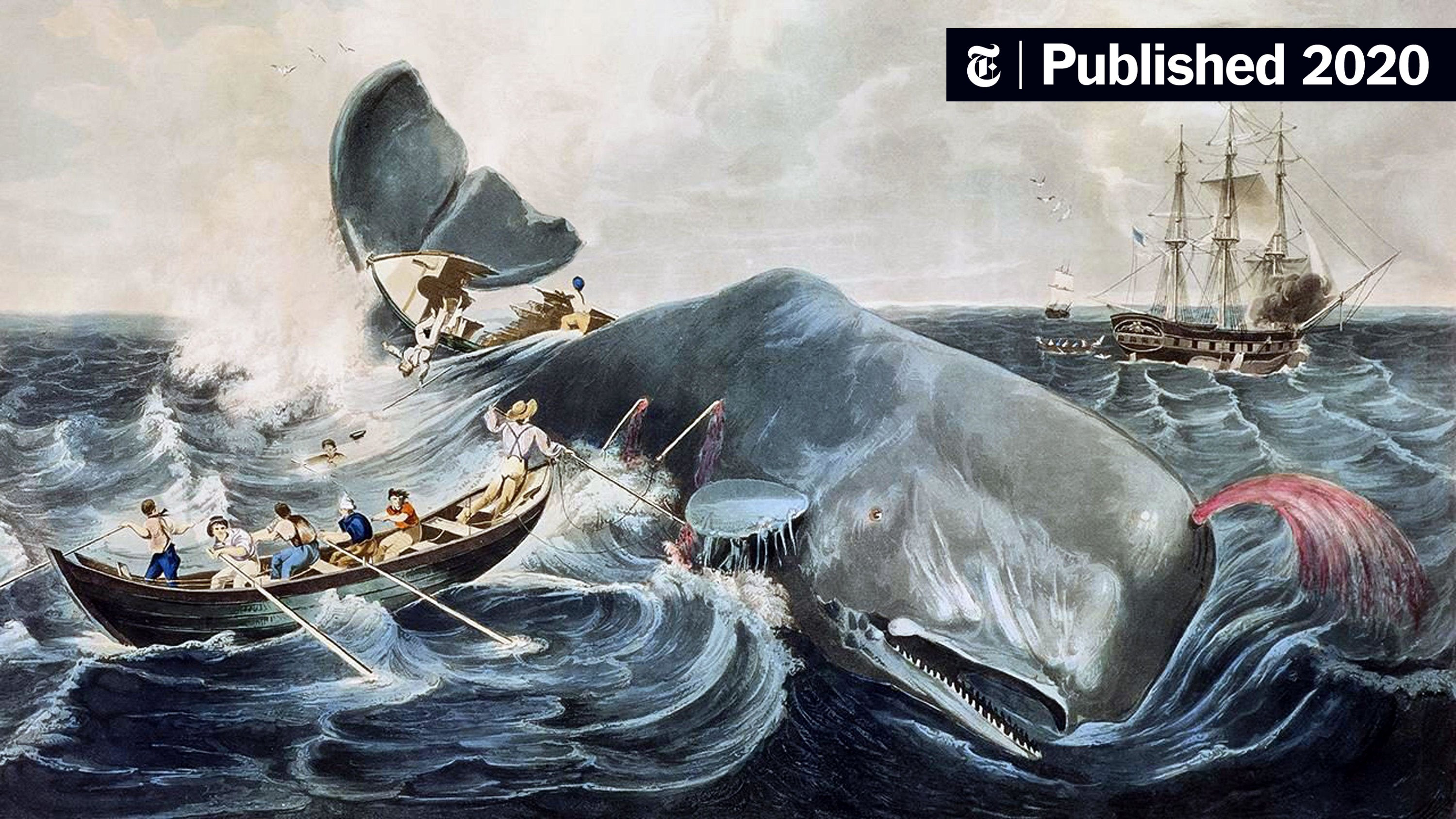 Xem Phim Kẻ Đưa Tin, Moby Dick 2011 Xem Phim Kẻ Đưa Tin, Moby Dick 2011