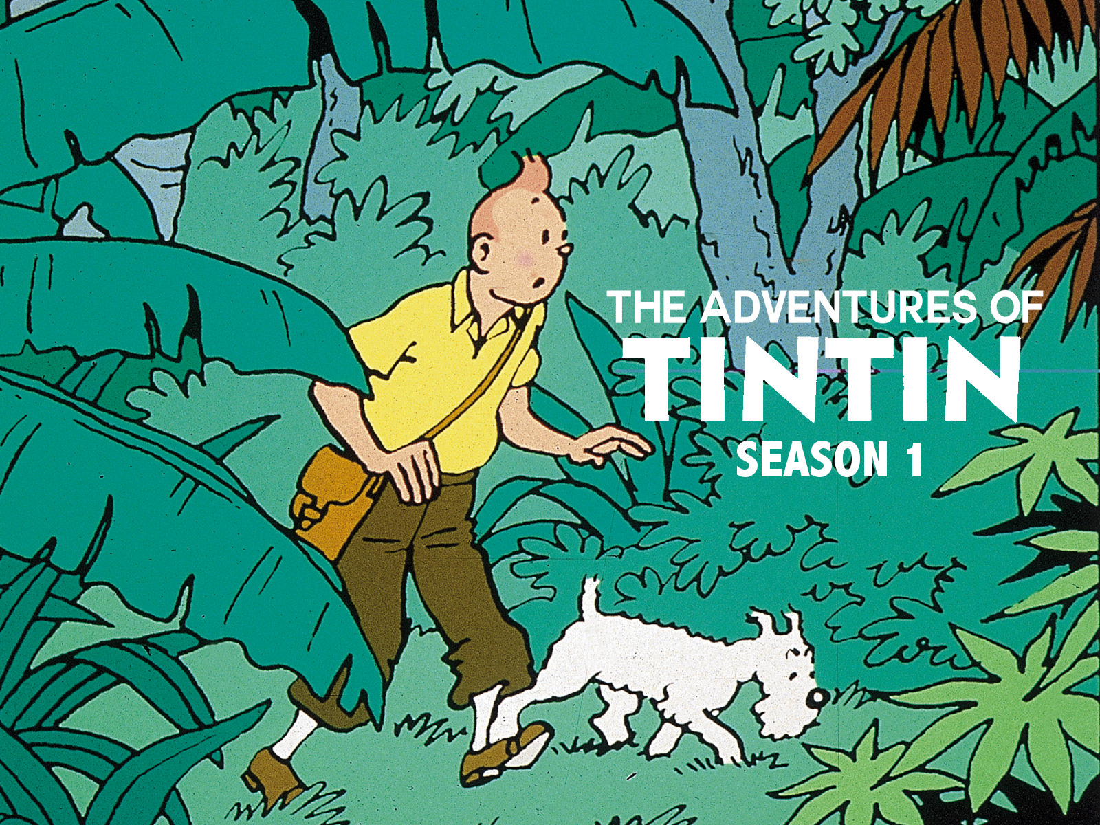 The Adventures of Tintin (Season 1) / The Adventures of Tintin (Season 1) (1991)