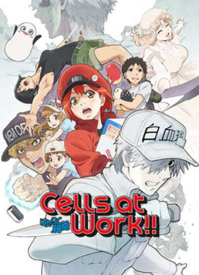 Cells at Work! S2 / Cells at Work! S2 (2021)