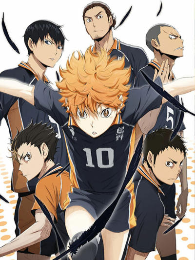 Thiếu niên bóng chuyền, Haikyu!! / Haikyu!! (2014)