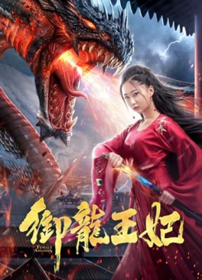 Ngự Long Vương Phi, Female Assasin / Female Assasin (2019)