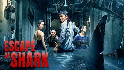 Xem Phim Trốn Chạy Khỏi Cá Mập, Escape of Shark 2021 Xem Phim Trốn Chạy Khỏi Cá Mập, Escape of Shark 2021