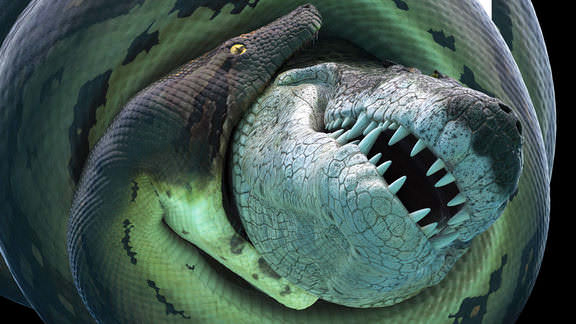 Xem Phim Bí Ẩn Quái Vật Khổng Lồ Titanoboa, Titanoboa: Monster Snake 2012