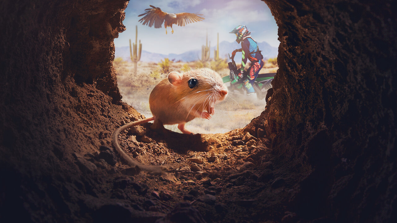 Xem Phim Những sinh vật tí hon, Tiny Creatures 2020 Xem Phim Những sinh vật tí hon, Tiny Creatures 2020