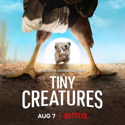 Những sinh vật tí hon, Tiny Creatures / Tiny Creatures (2020)