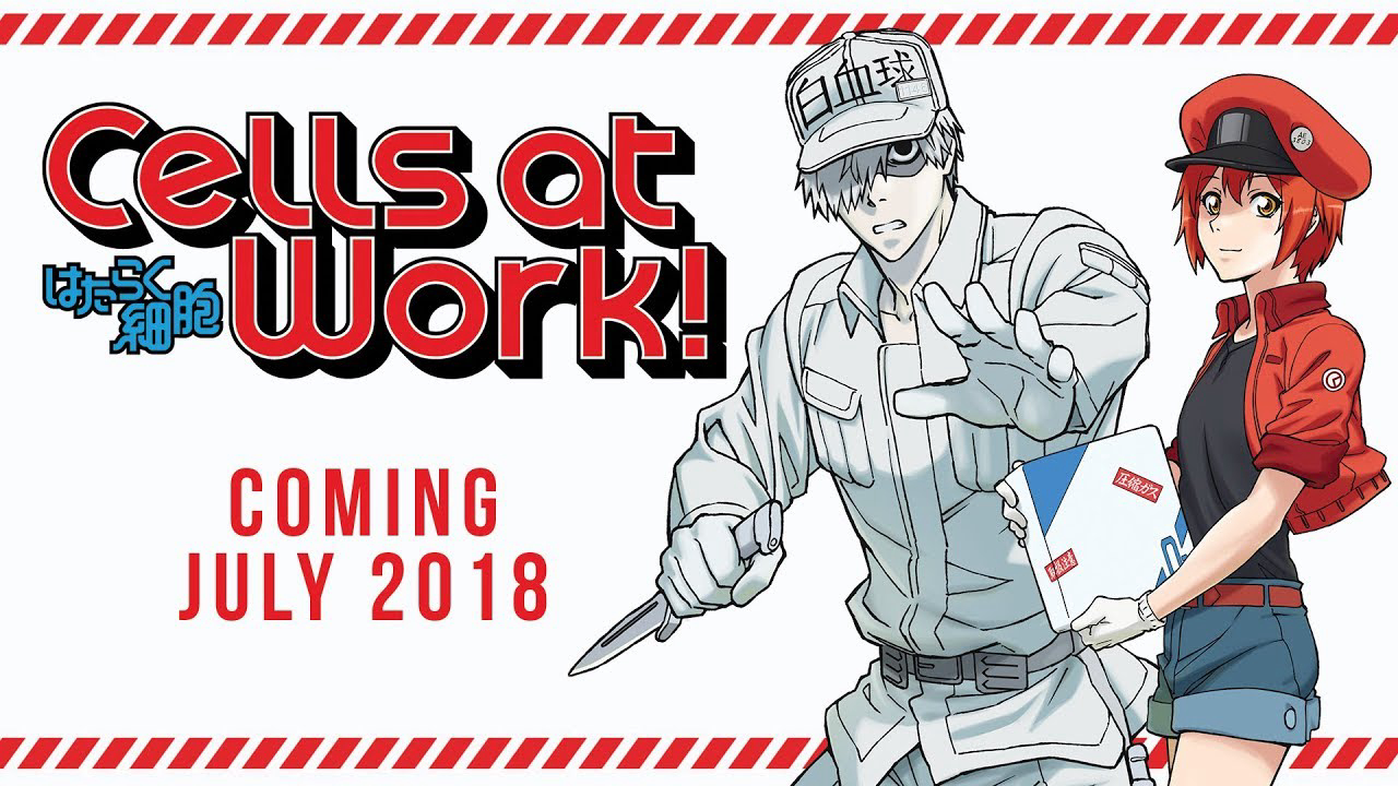 Xem Phim Khi các tế bào làm việc trong cơ thể, Cells at Work! 2018 Xem Phim Khi các tế bào làm việc trong cơ thể, Cells at Work! 2018