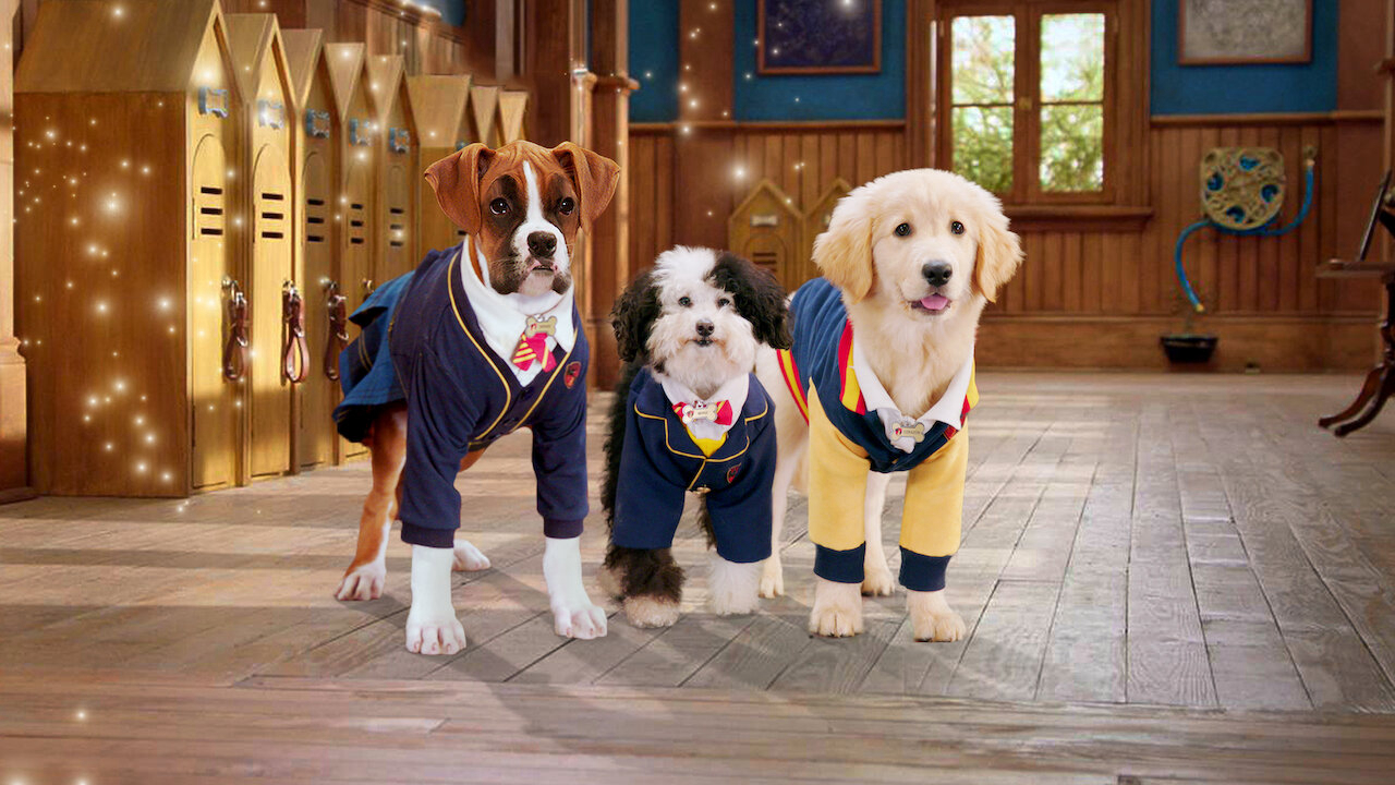Pup Academy (Season 1) / Pup Academy (Season 1) (2020)
