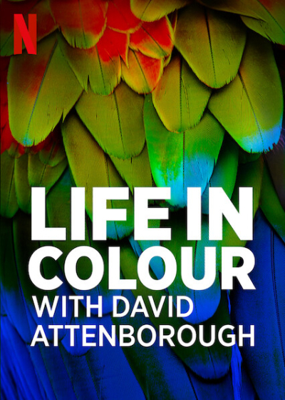 Life in Colour with David Attenborough / Life in Colour with David Attenborough (2021)