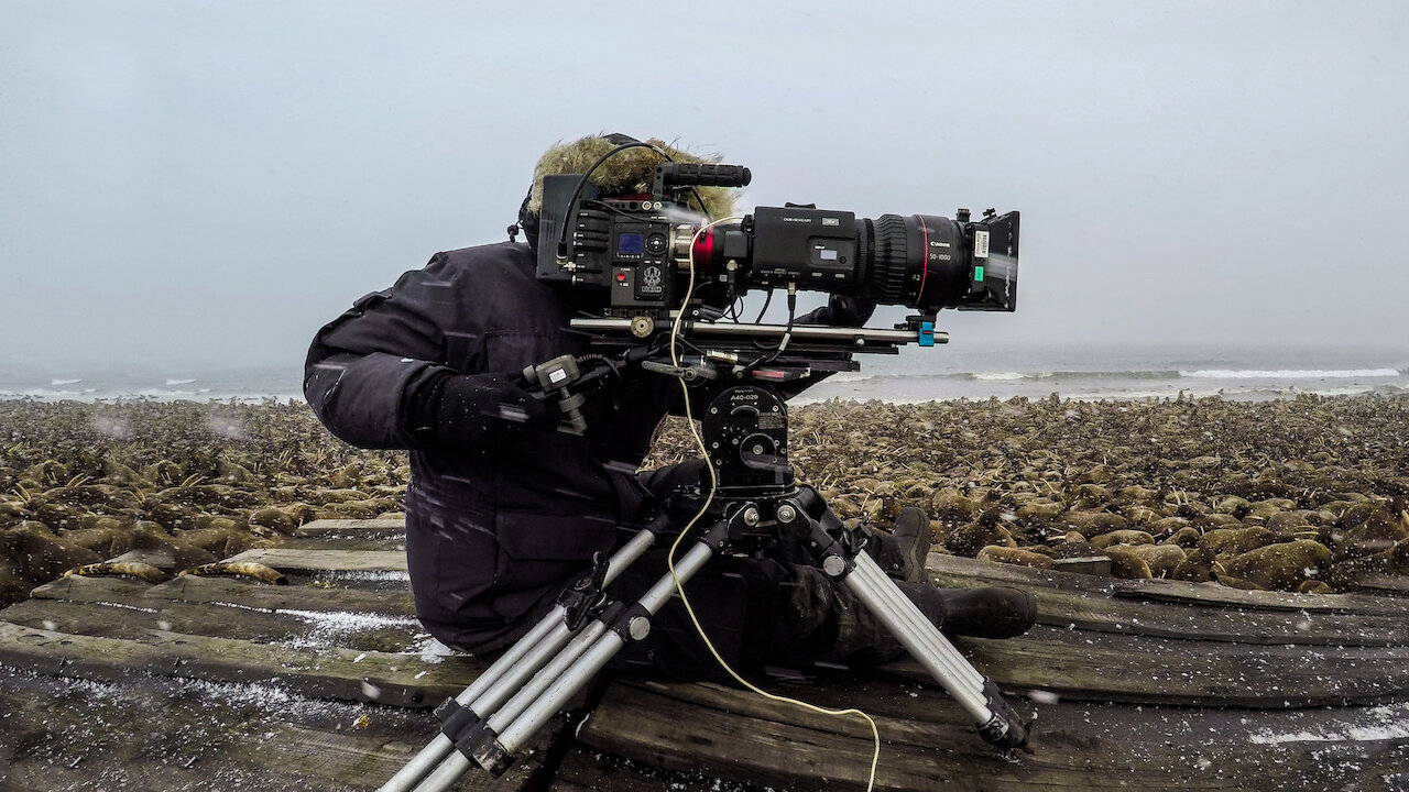 Xem Phim Hành tinh của chúng ta - Hậu trường, Our Planet - Behind The Scenes 2019 Xem Phim Hành tinh của chúng ta - Hậu trường, Our Planet - Behind The Scenes 2019