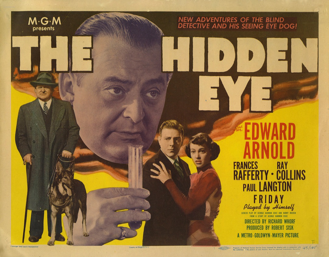 Hidden Detective / Hidden Detective (2018)