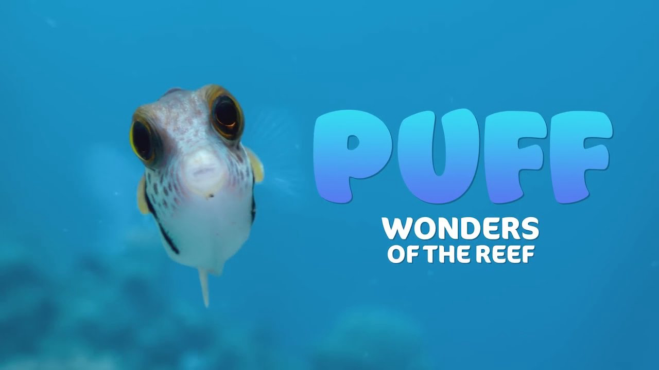 Xem Phim Puff: Rạn san hô kỳ diệu, Puff: Wonders of the Reef 2021