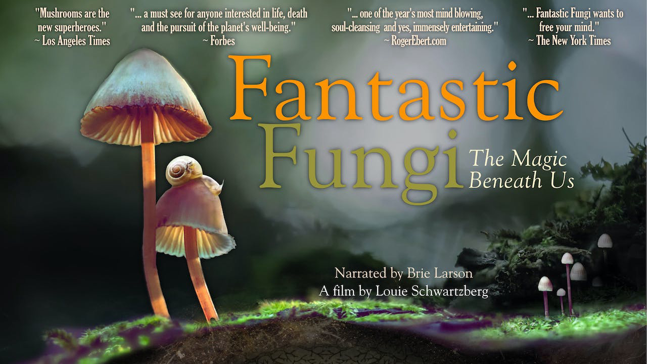 Xem Phim Thế giới nấm diệu kỳ, Fantastic Fungi 2019